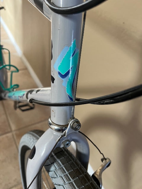 1989 Specialized Rockhopper. Re-cyclelogical CowPoke 19.5