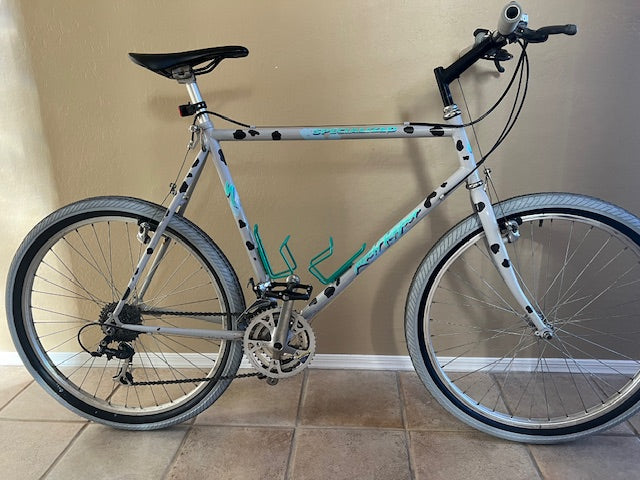 1989 Specialized Rockhopper. Re-cyclelogical CowPoke 19.5