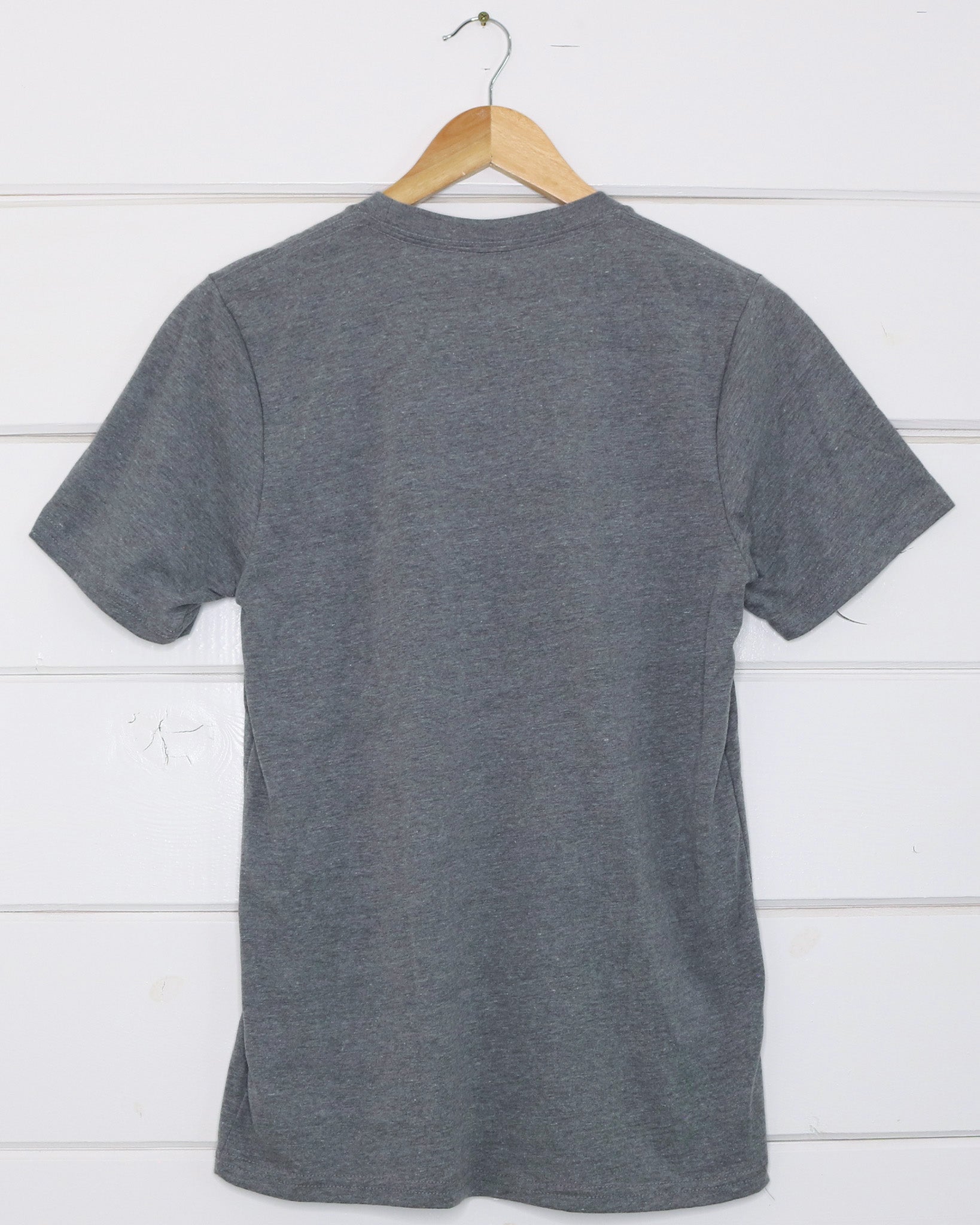 Bison Unisex Grey T-Shirt Back