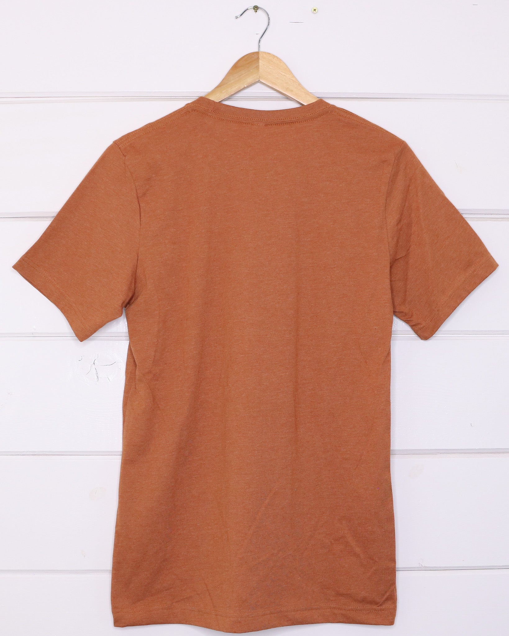 Bison Unisex Rust T-Shirt Back